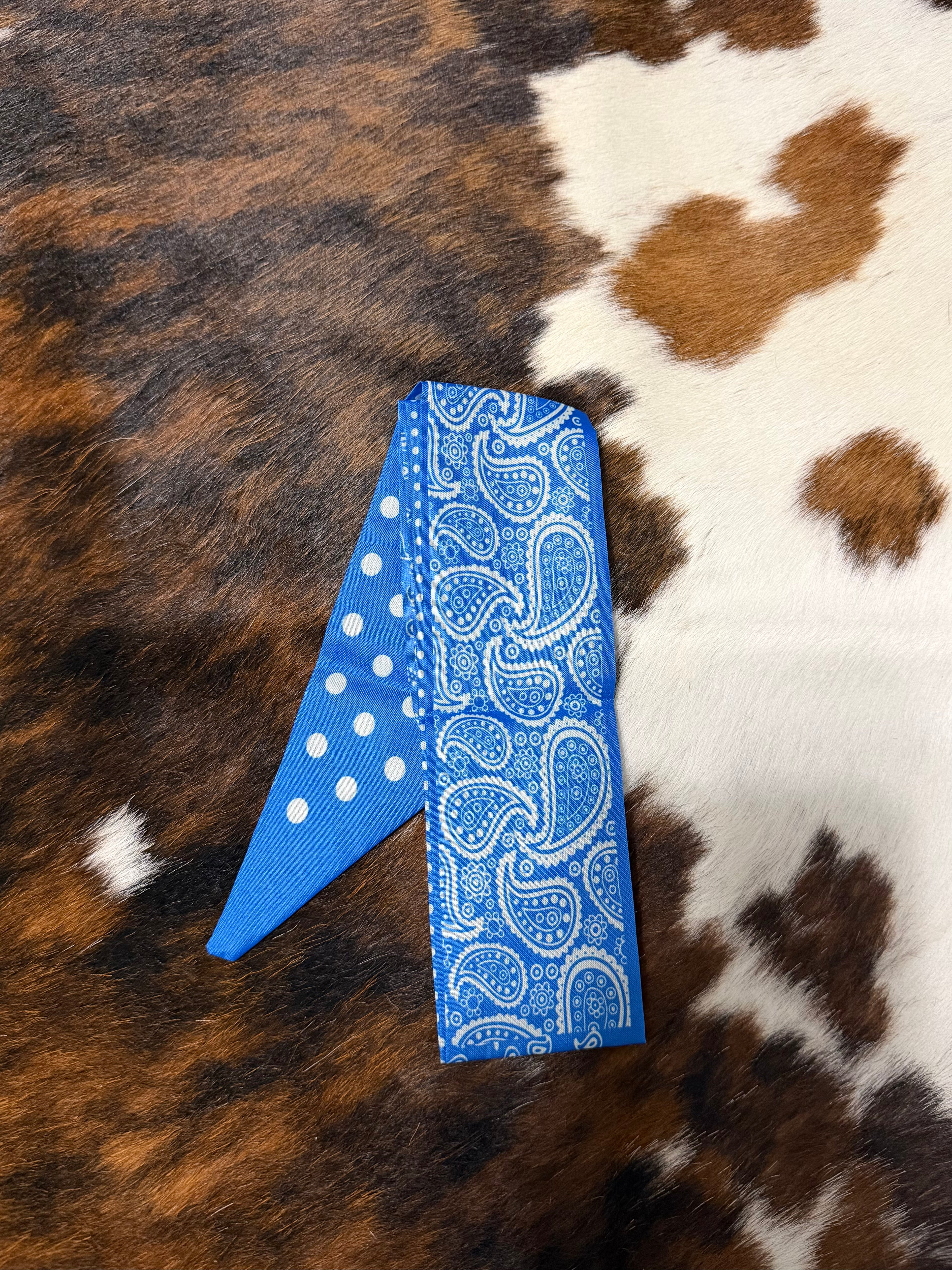 Royal Blue Paisley Polka Dot Twilly